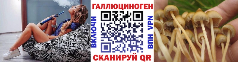 Псилоцибиновые грибы GOLDEN TEACHER  Купить закладки  Новосокольники 