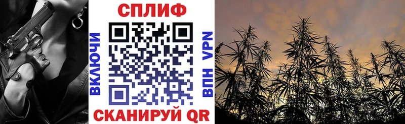 Купить  Новосокольники  Шишки марихуана THC 21% 